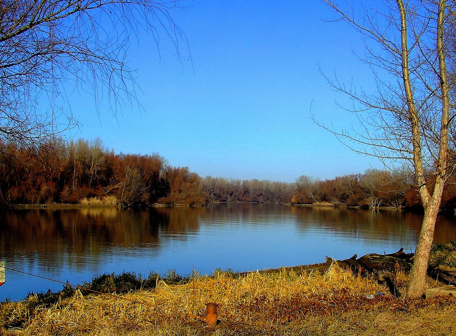 Tiszaörvény,tisza.