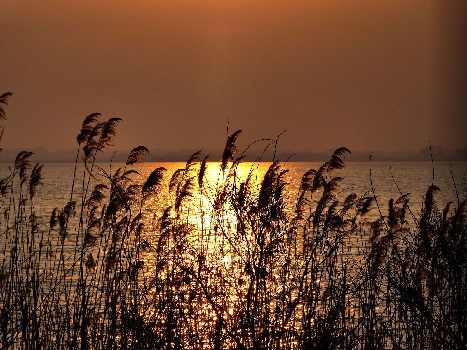 Tisza-Tó Sarud