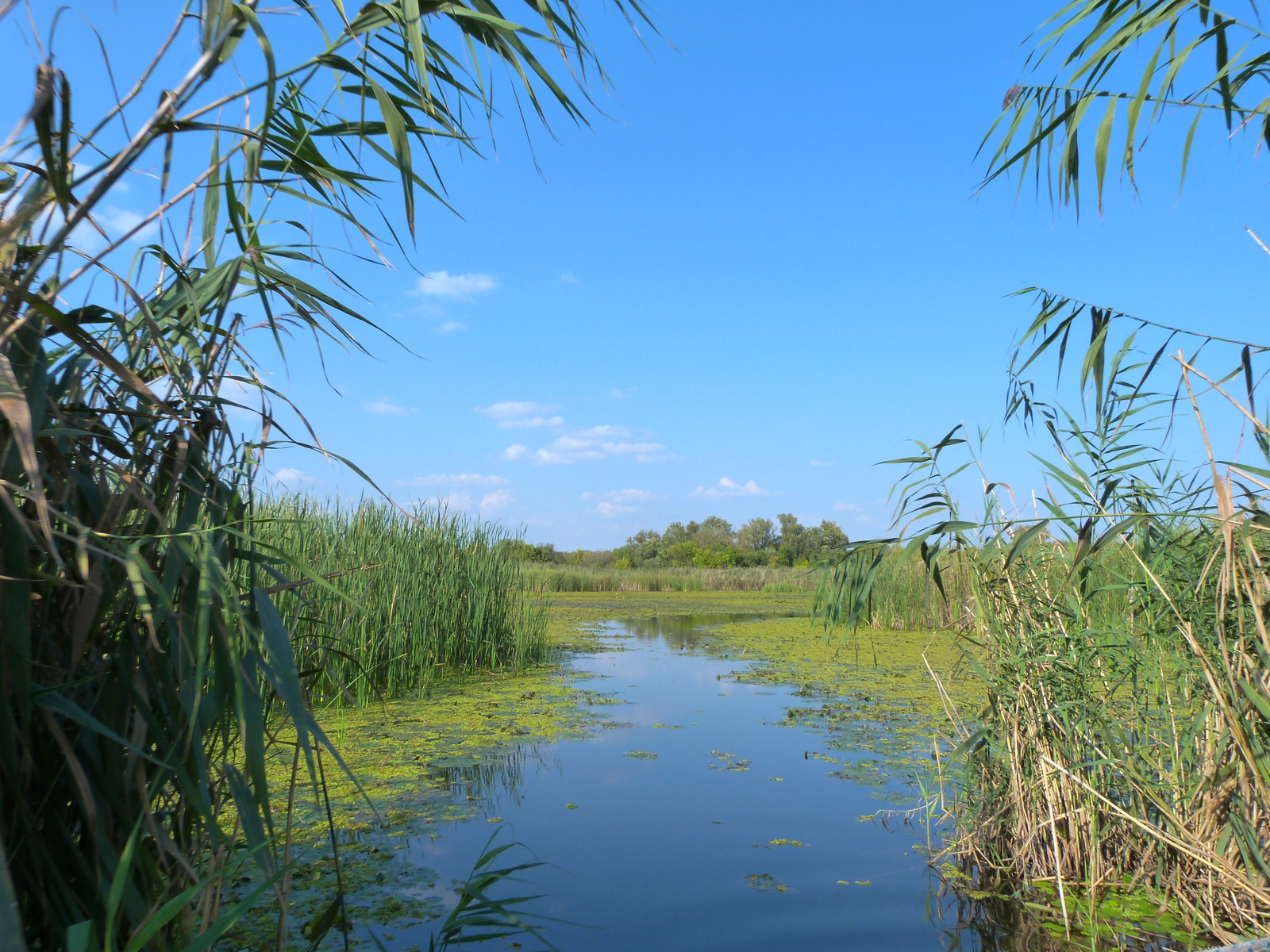 Tisza-tó, Tiszafüred és környéke!