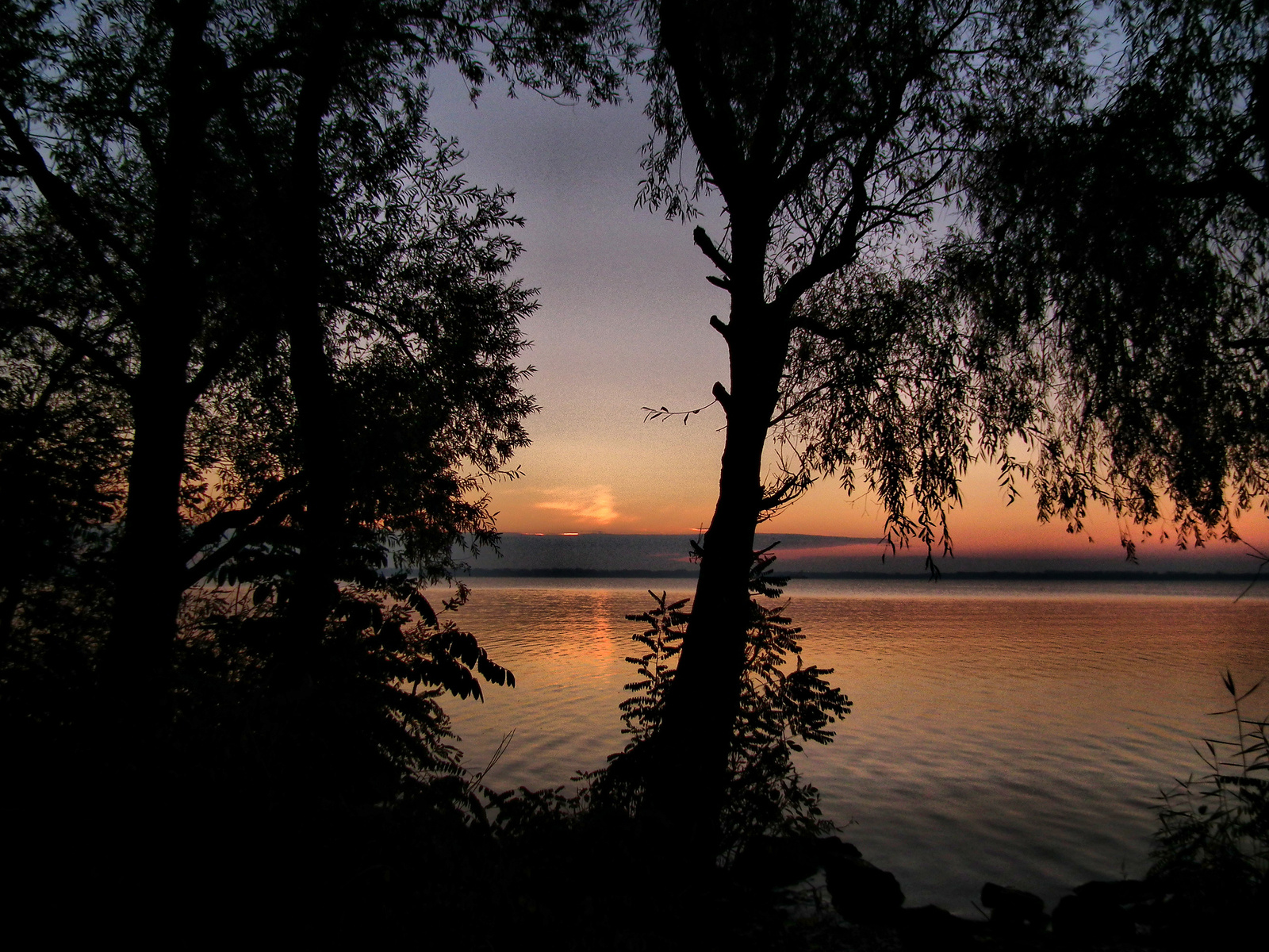 Sarud. Tisza-tó napkelte!