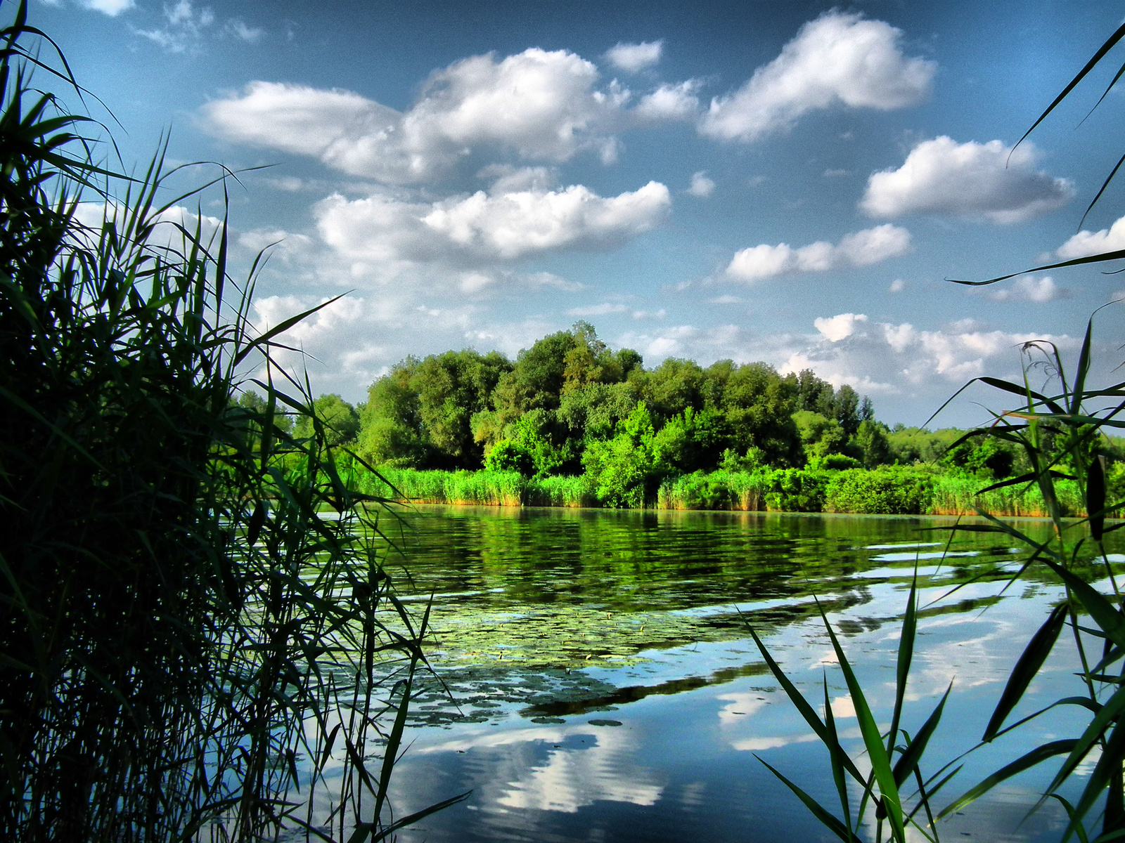 Tisza-tó, Tiszafüred