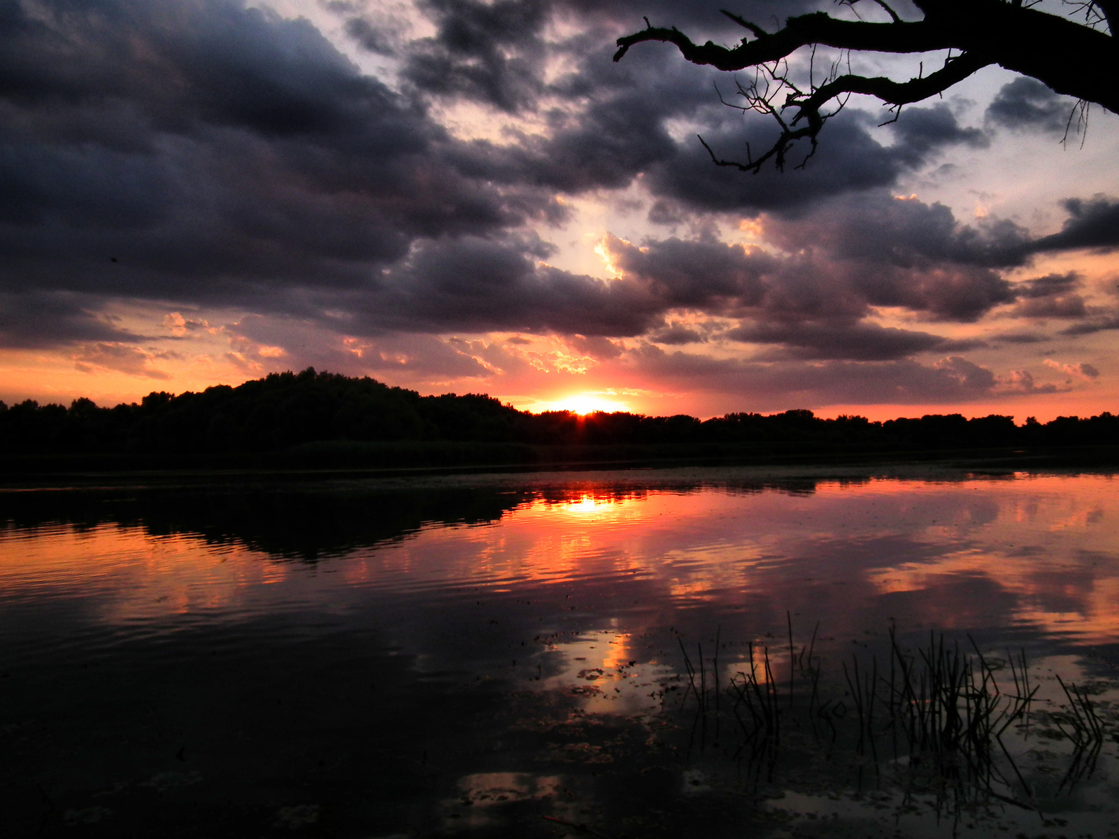 Naplemente! Tisza-tó. (5)