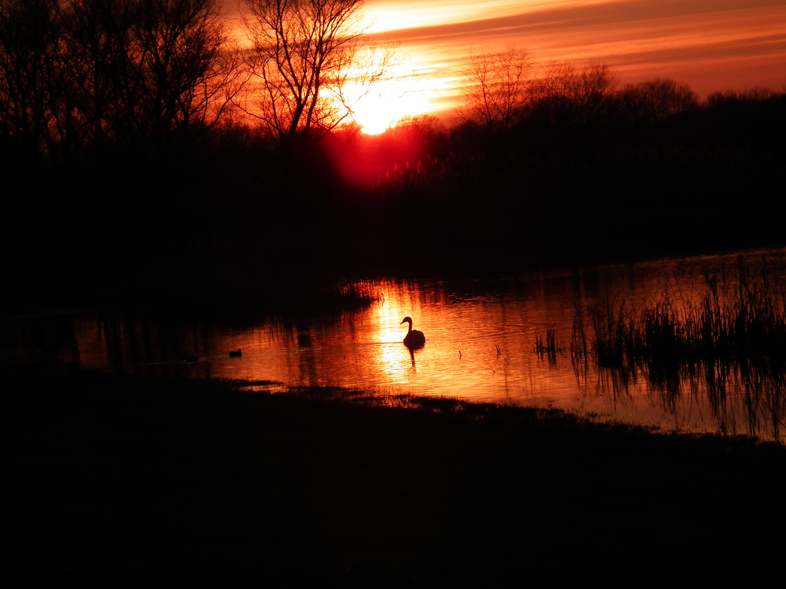 Tisza-tó naplemente!