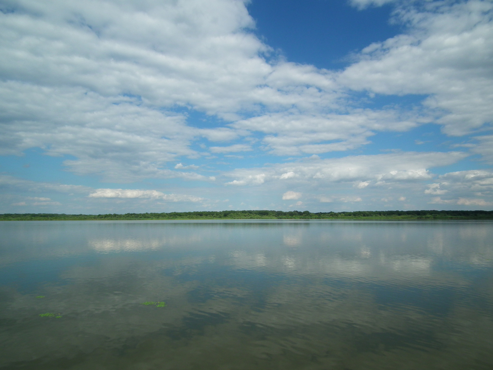 Tisza-tó. Poroszlói öböl.