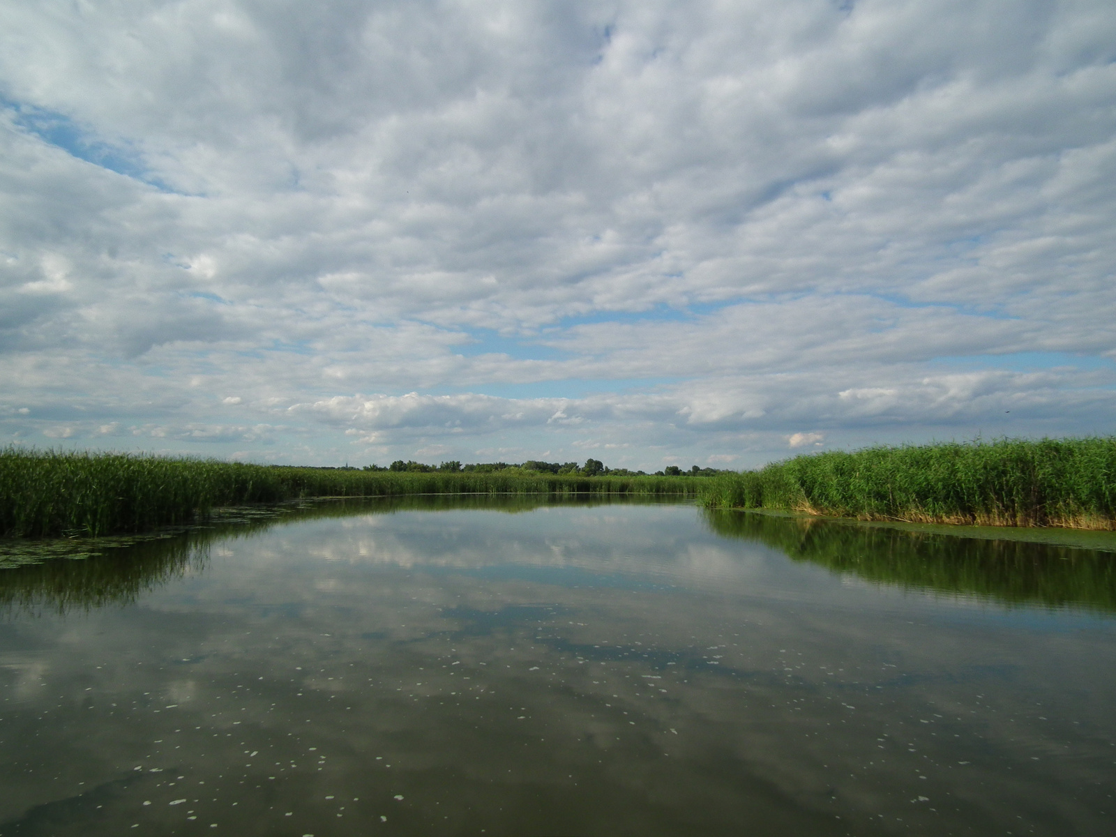 Tisza-tó. Poroszlói öböl.