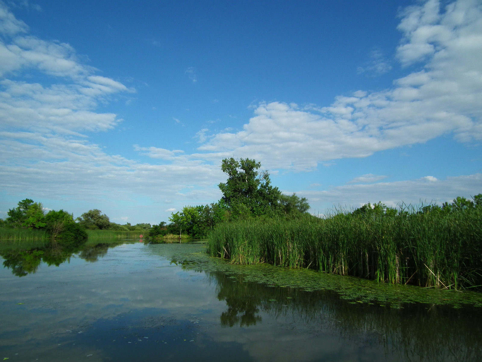 Tisza-tó. Poroszlói öböl.