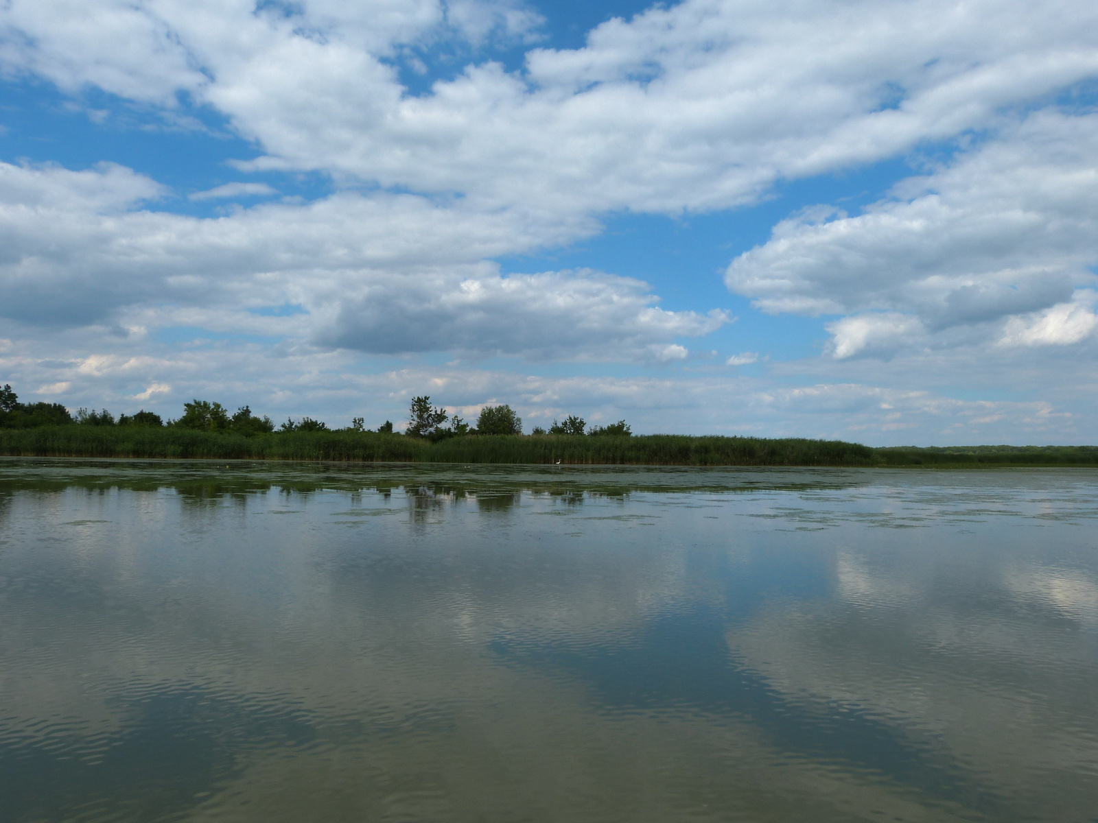 Tisza-tó. Poroszlói öböl.