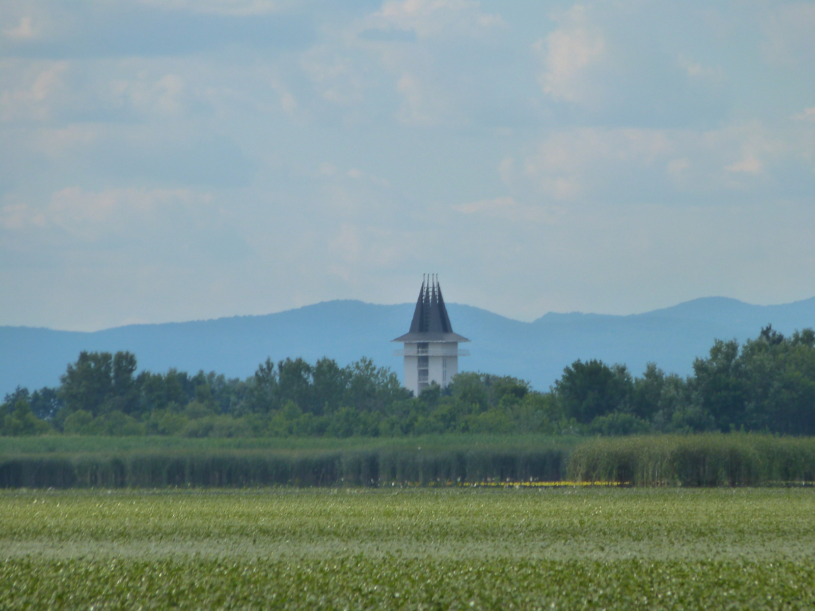 Tisza-tó. Poroszlói öböl.