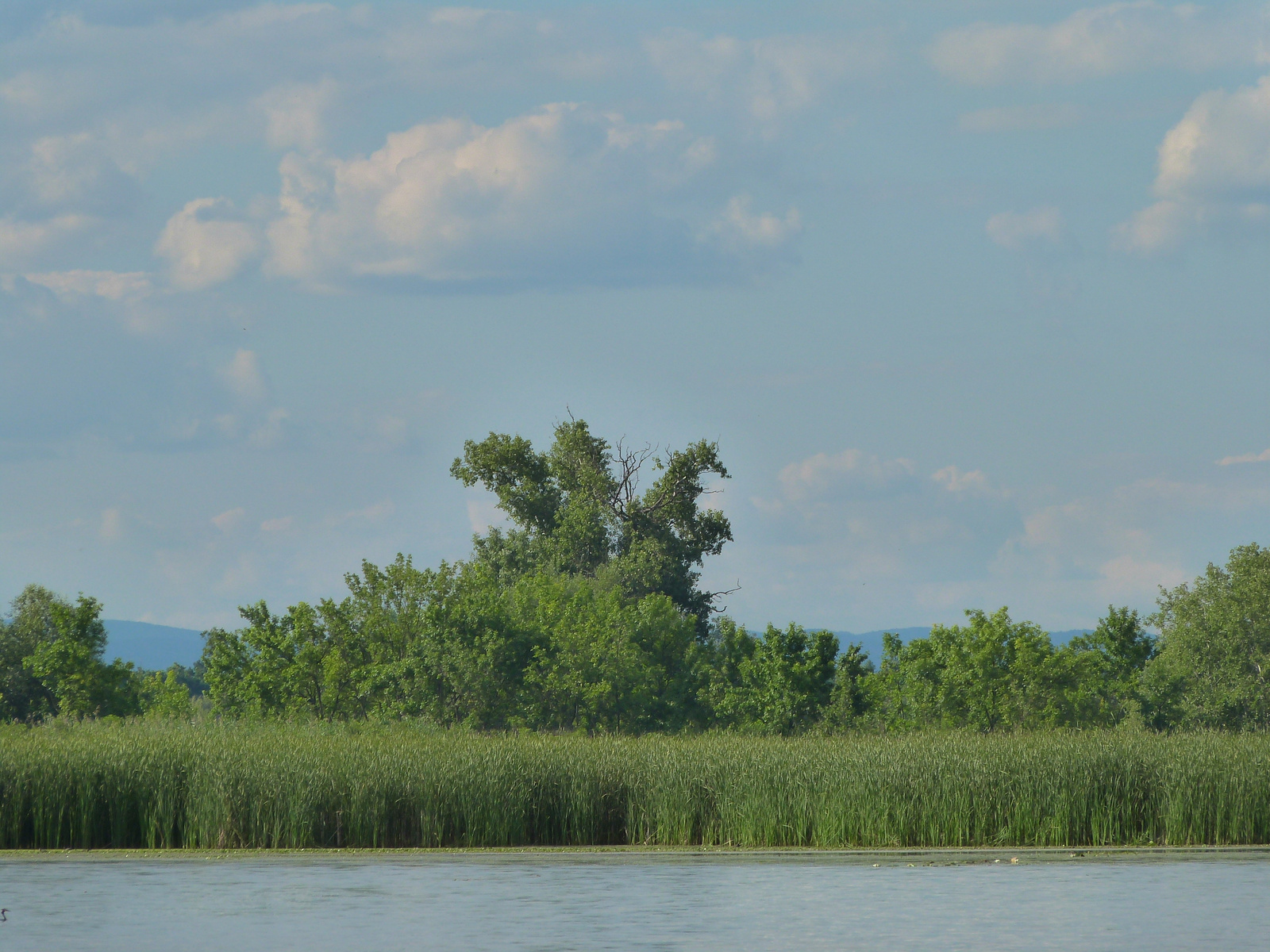 Tisza-tó. Poroszlói öböl.