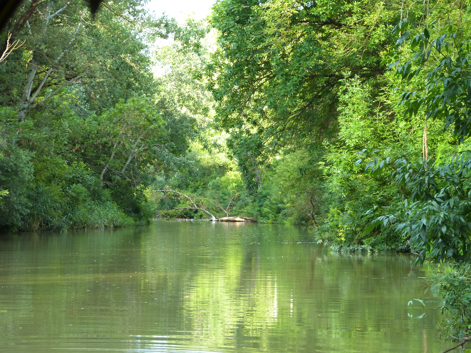 Tisza-tó. Poroszlói öböl.