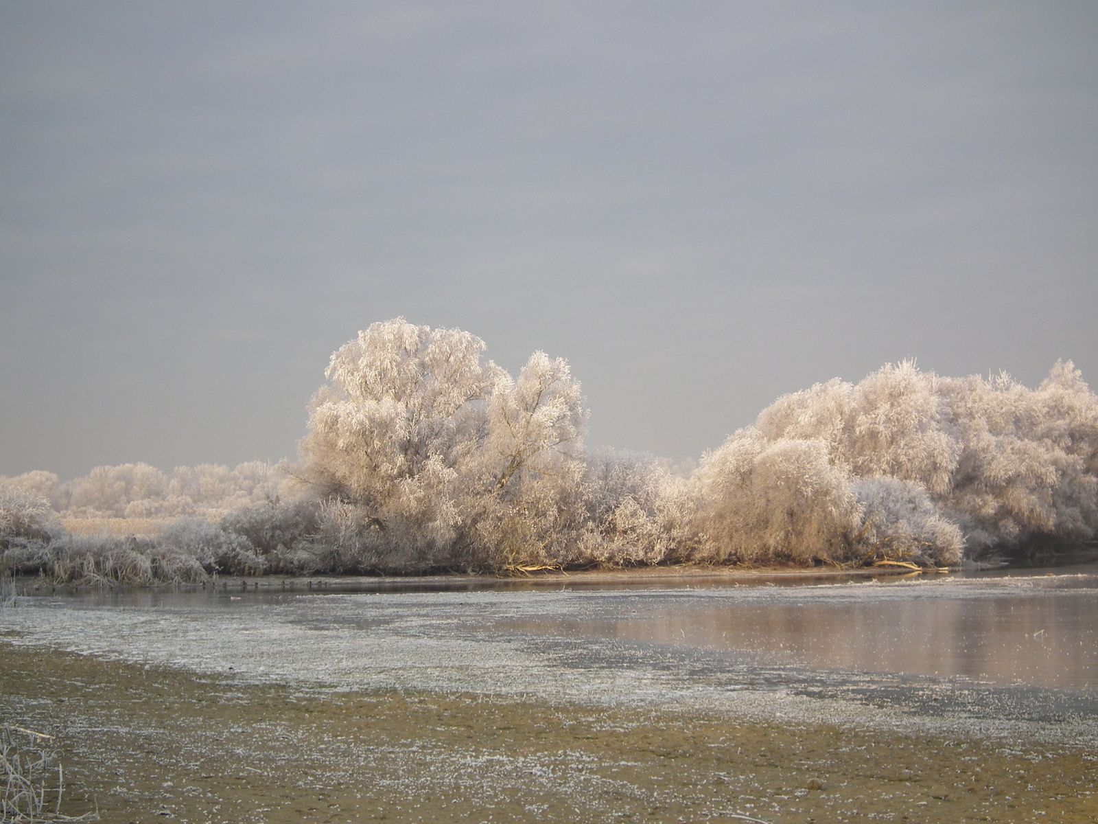 Tiszafüred Tisza-tó