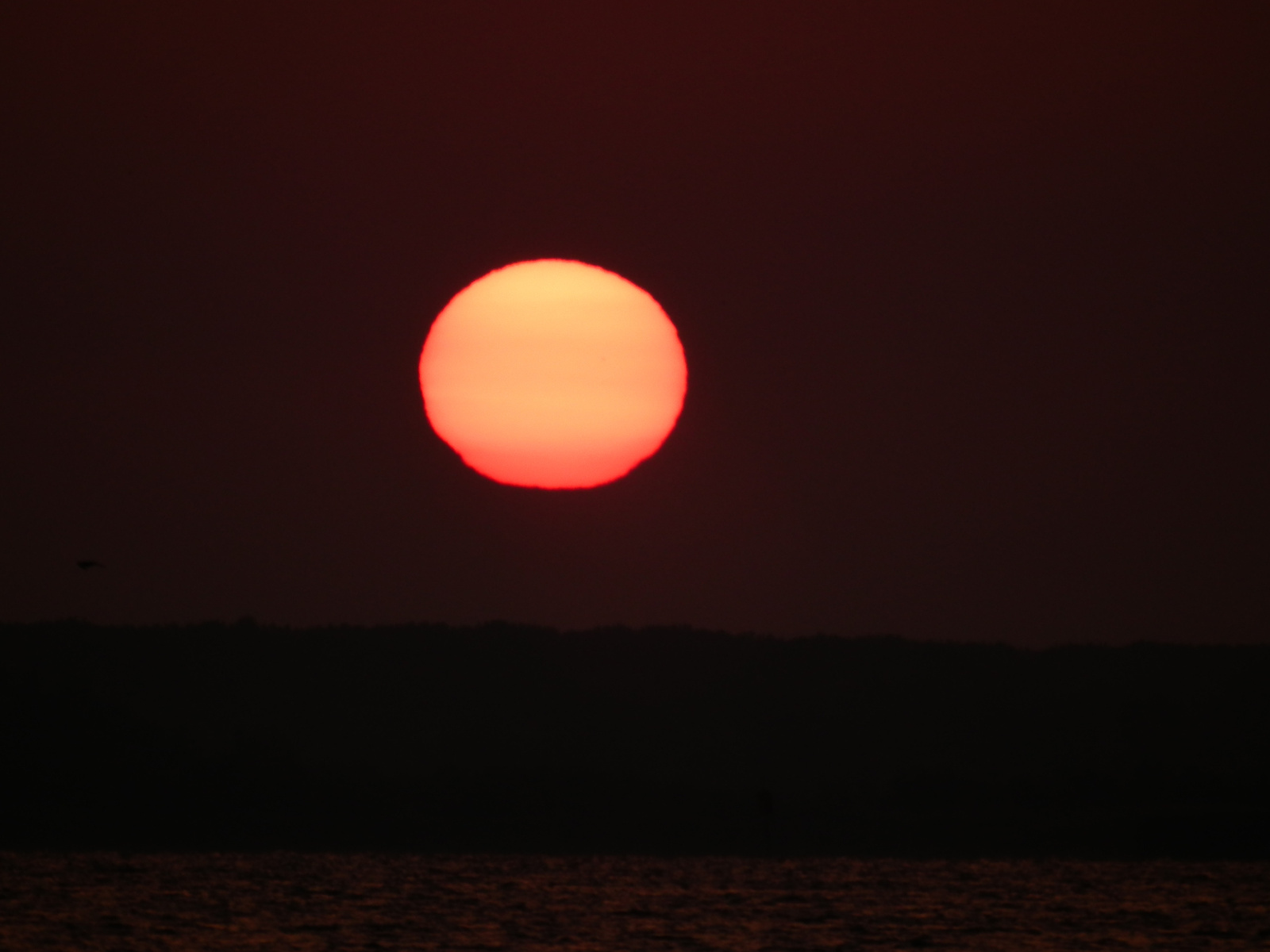 Tisza-tó napkelte.