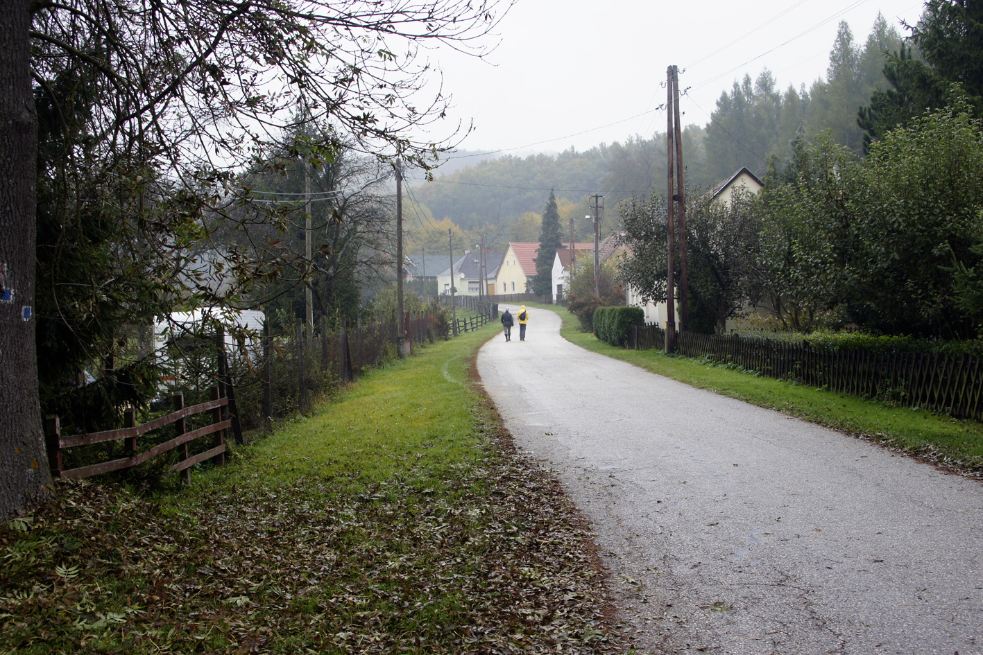 111023 OKT Kislőd-Bakonybél NEX5 6507