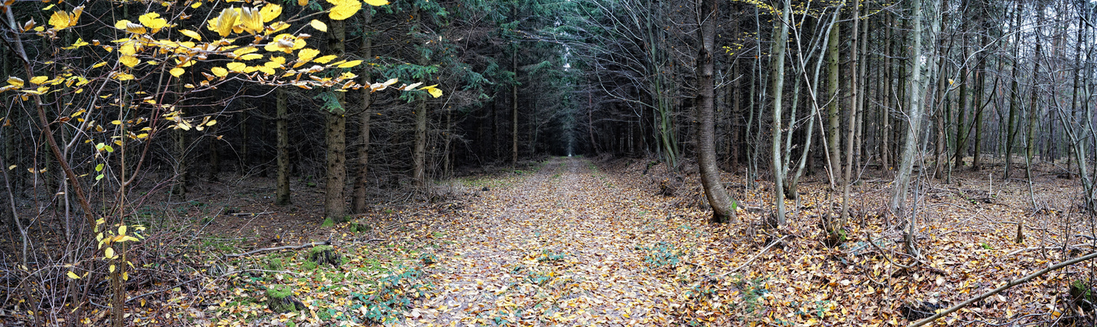 121117 NEX5N OKT Tömörd-Szeleste 0645