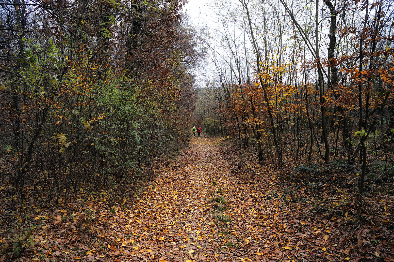 121117 NEX5N OKT Tömörd-Szeleste 0629