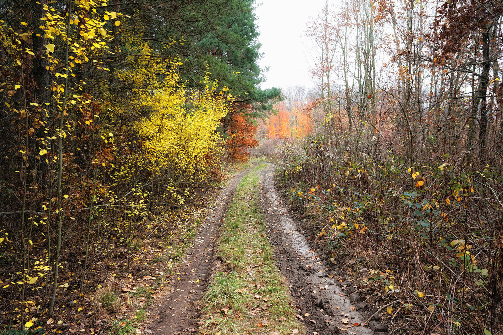 121117 NEX5N OKT Tömörd-Szeleste 0752