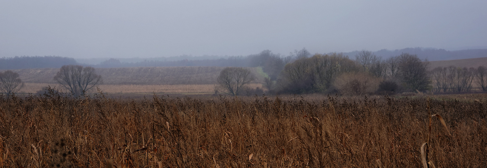 1221118 NEX5N OKT Káld-Szajki tavak 0815