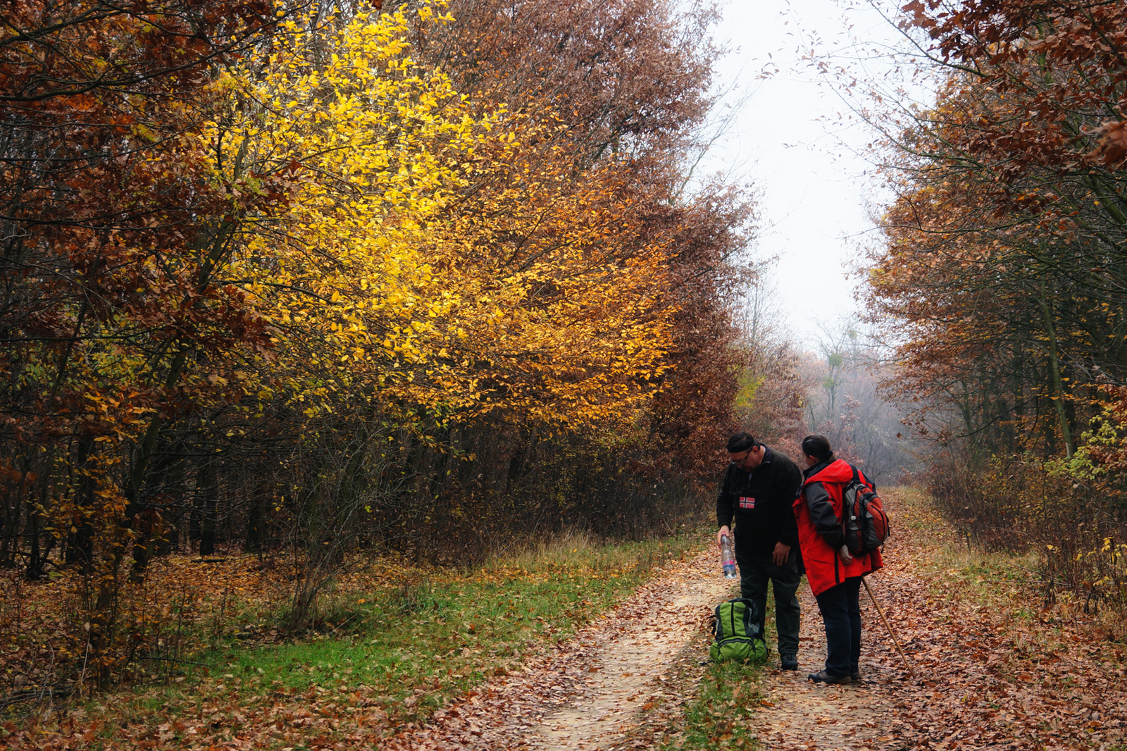 1221118 NEX5N OKT Káld-Szajki tavak 0832