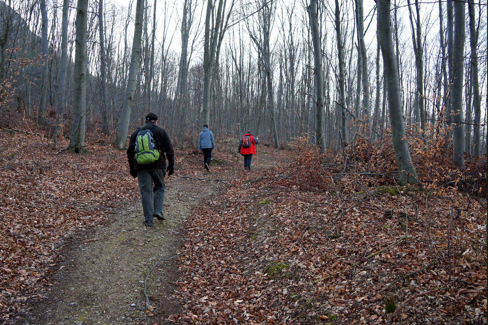 131229 NEX5N OKT Bélapátfalva-Szarvaskő 5420