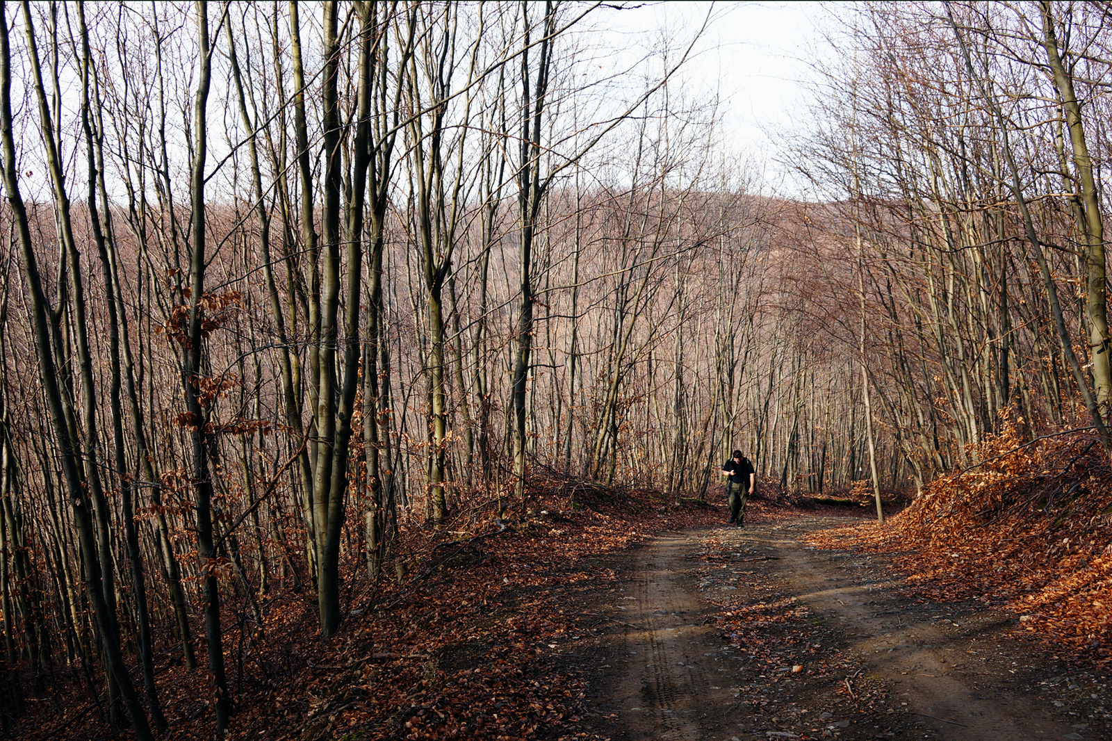 131229 NEX5N OKT Bélapátfalva-Szarvaskő 5447