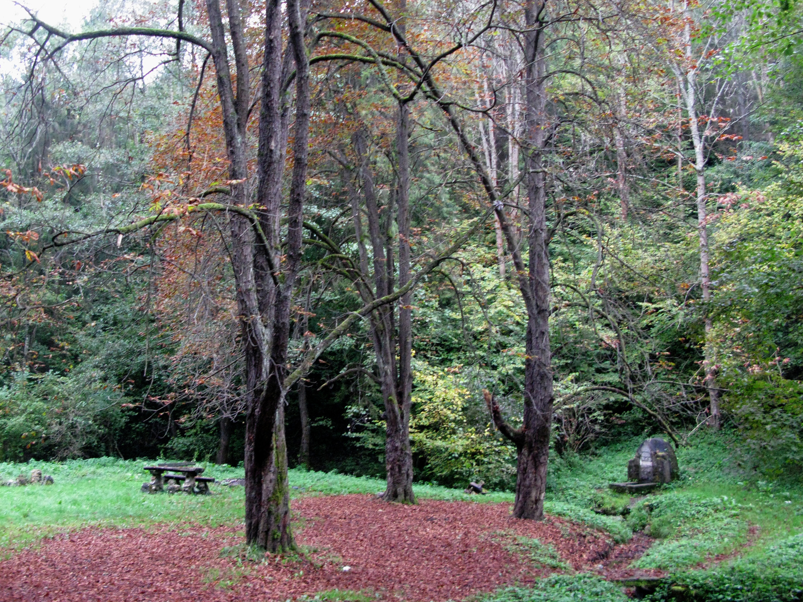 141004 OKT Zádorfalva-Putnok 6494