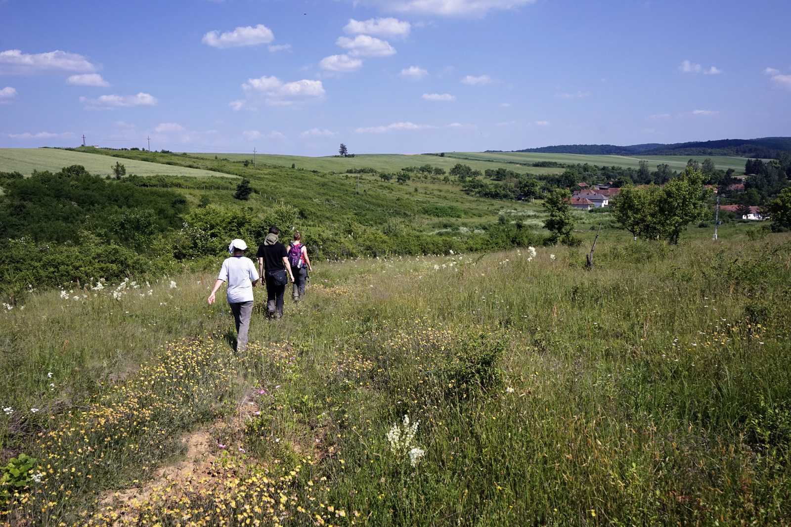 150607 A7 OKT Felsővadász-Rakacaszend 2469