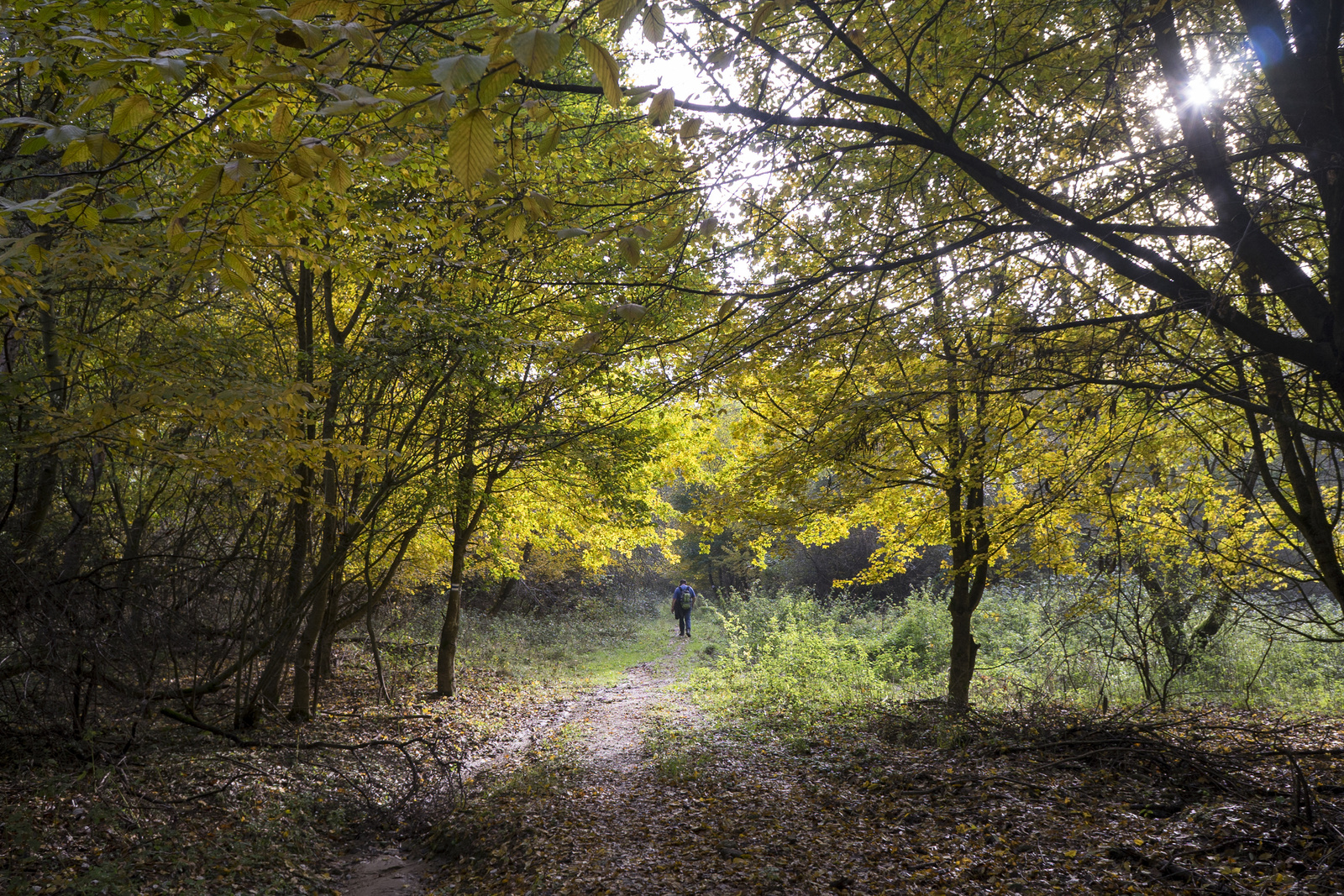 151023 A7 OKT Nagyhuta-Bányi-nyereg 4222