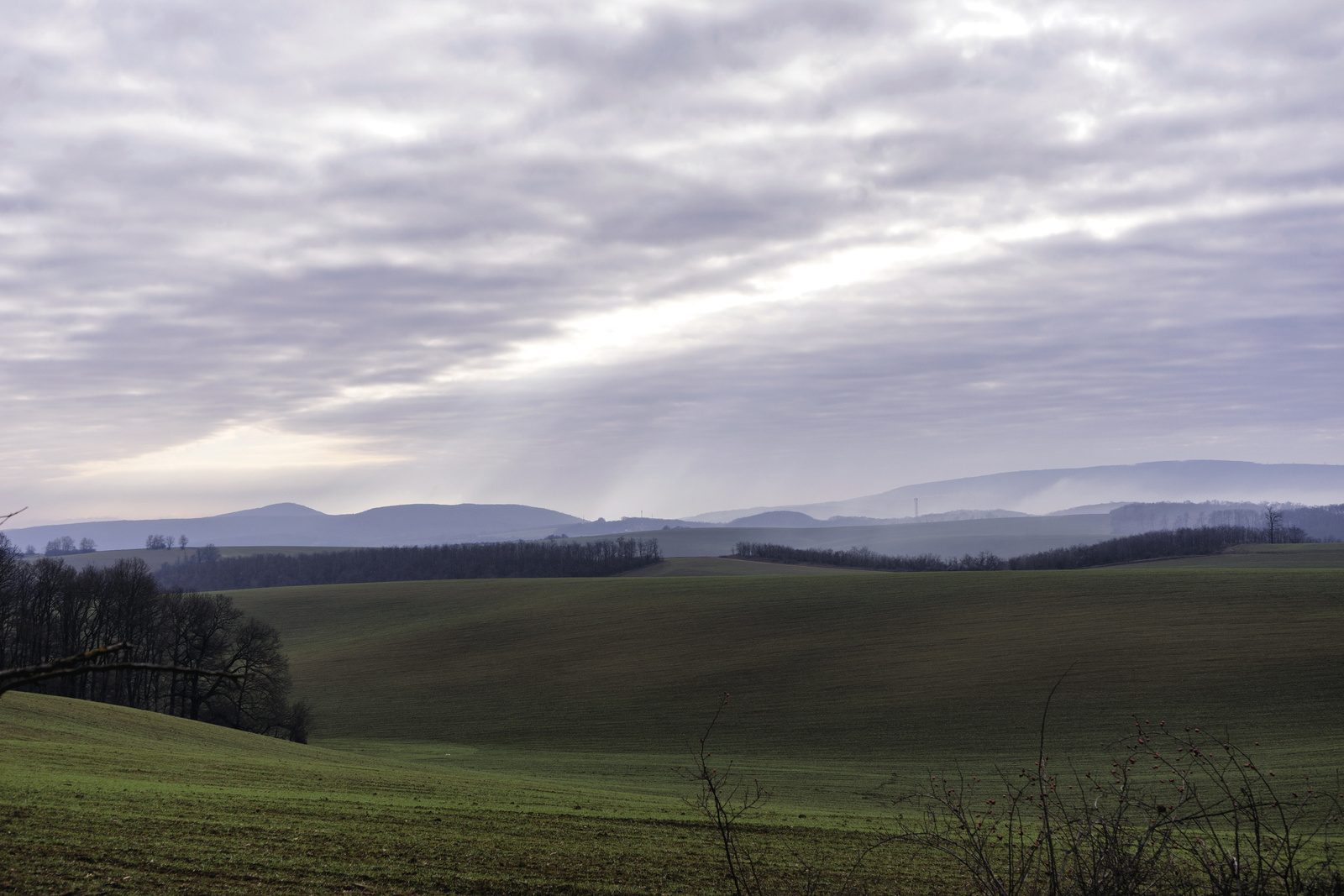 151229 A7 OKT Szárliget-Koldusszállás DSC4800