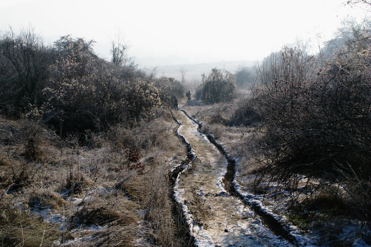 081229 G9 OKT Psztkereszt Rozália téglagyár 6576