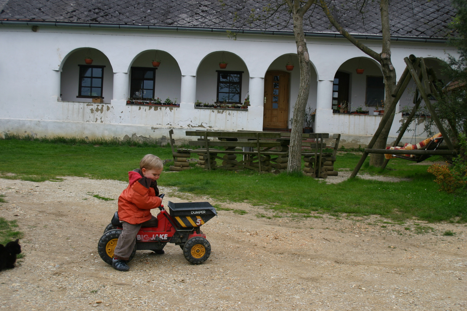 sirva tanul pedalozni