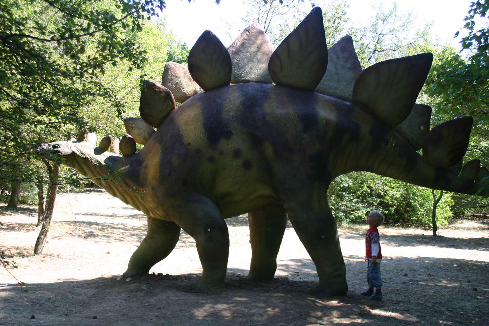 stegosaurus