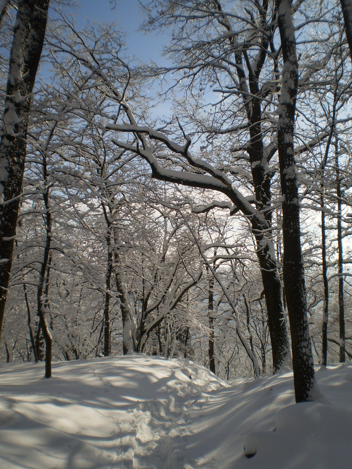 201011204Bakonyi Mikulás 40 teljesítménytúra 075