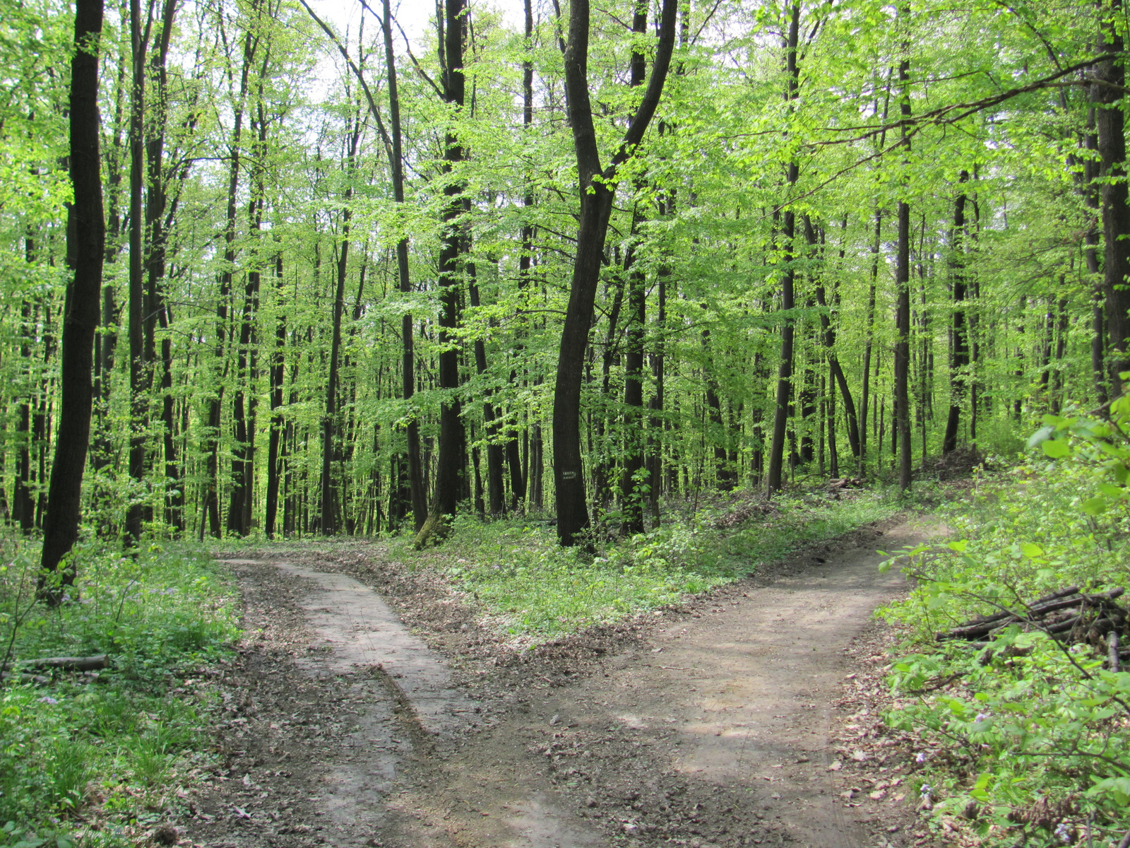 2011.04.17.Magyaregregy-Komló 106