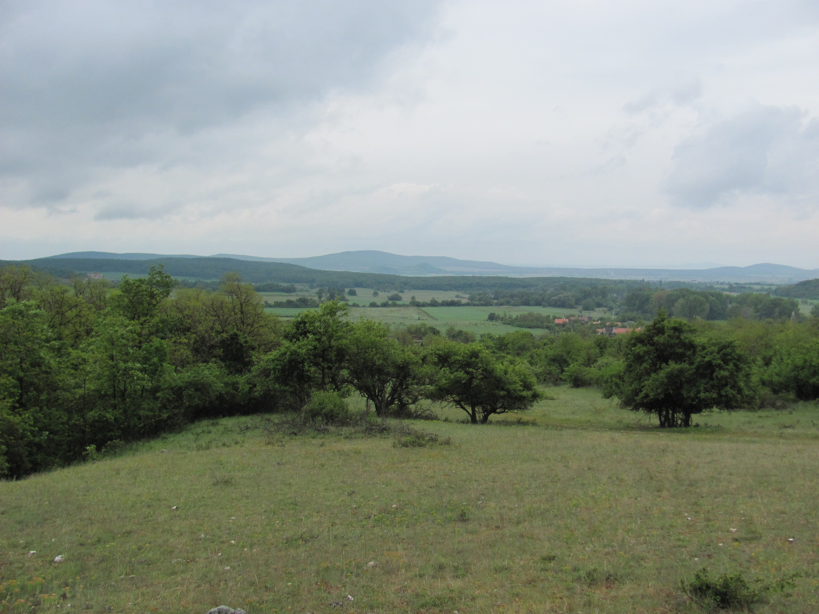 2011.05.08.Óbudavár teljesítménytúra 043