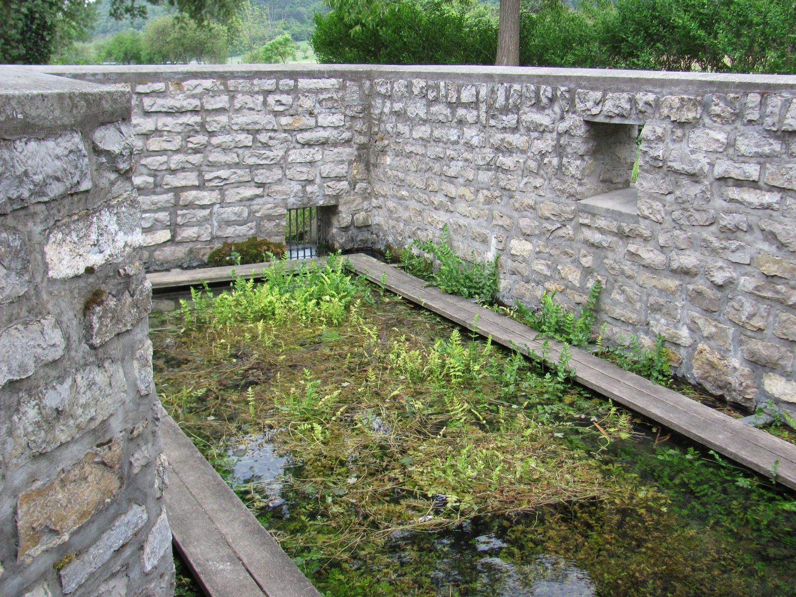 2011.05.08.Szentantalfa mosókút Óbudavár teljesítménytúra 017