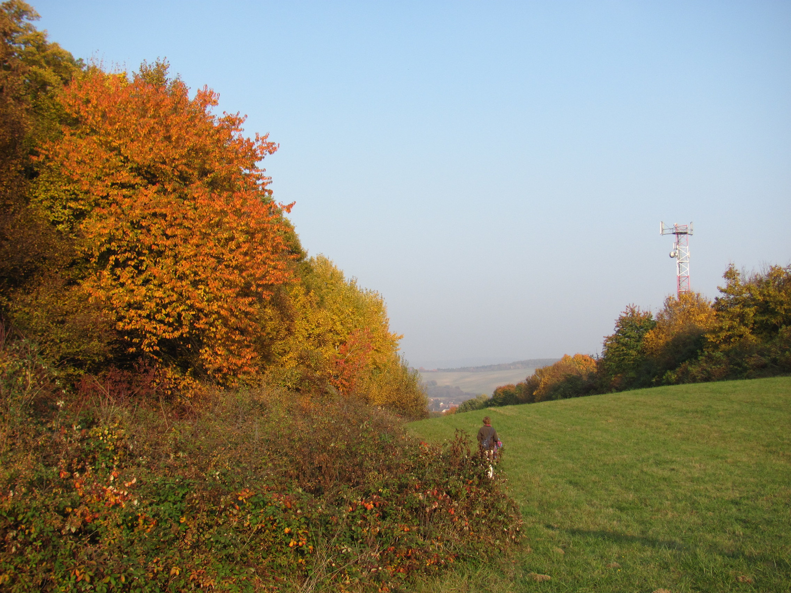 2011.11.01.Abaligeti kör 092