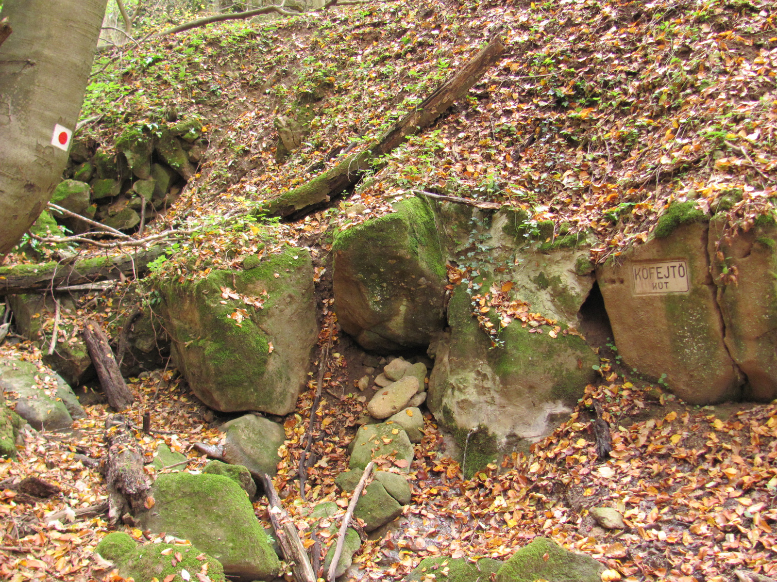 2011.11.06.Orfű-Pécs 045