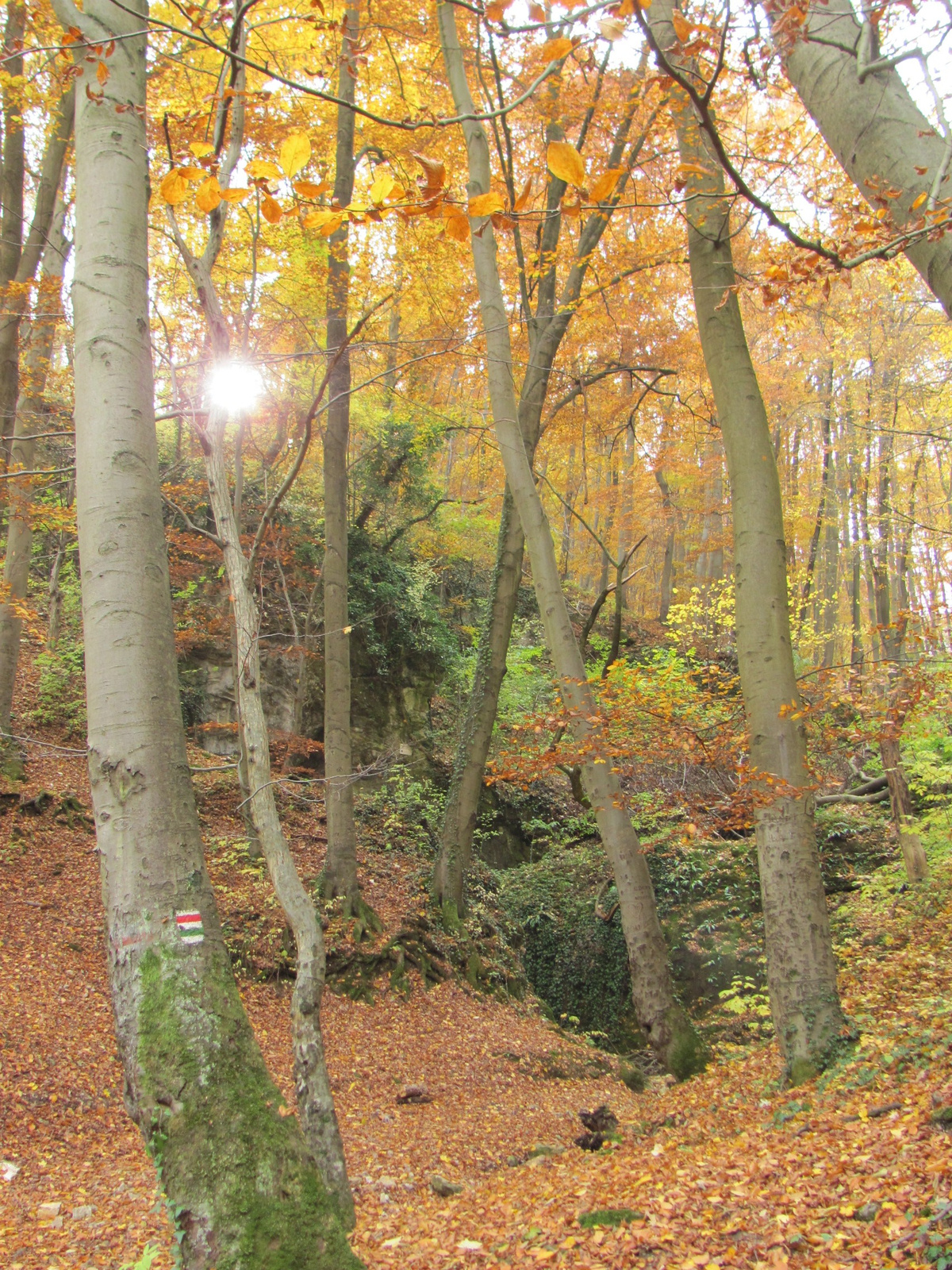 2011.11.06.Orfű-Pécs 063