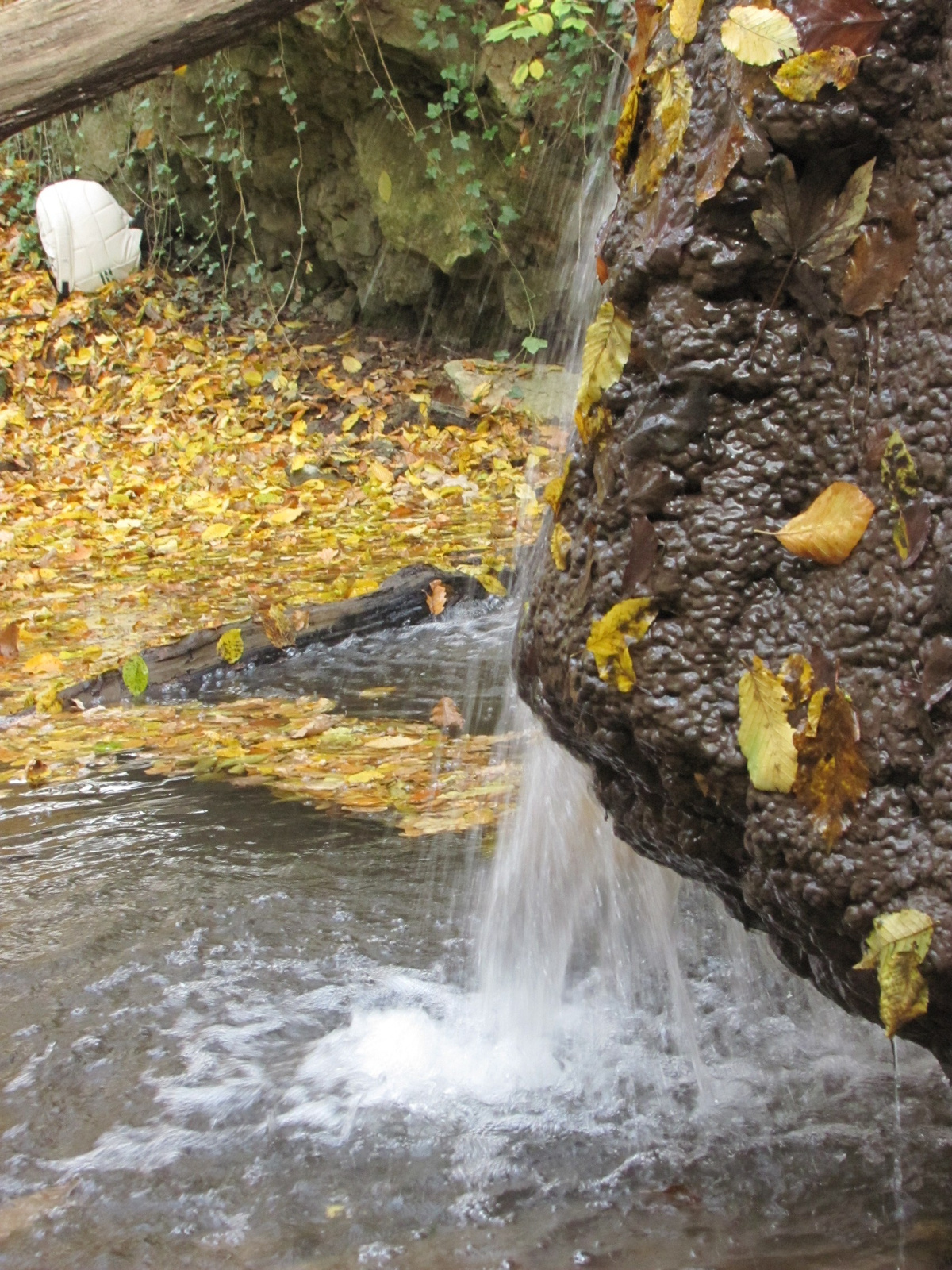 2011.11.06.Orfű-Pécs 111