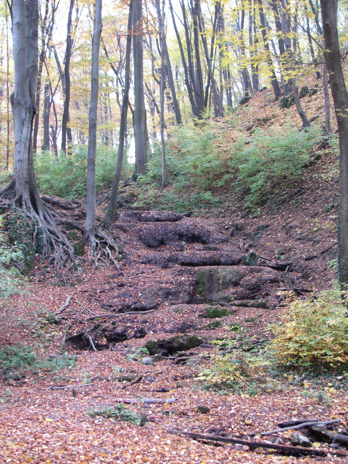 2011.11.06.Orfű-Pécs 124