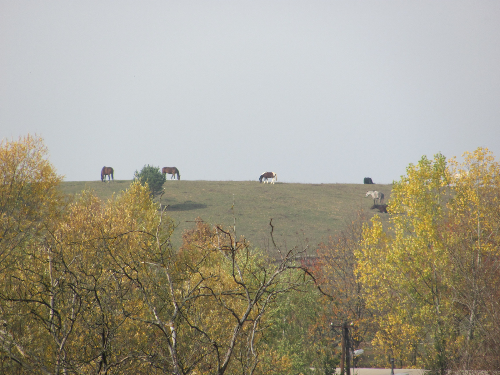 2011.11.06.Orfű-Pécs 003