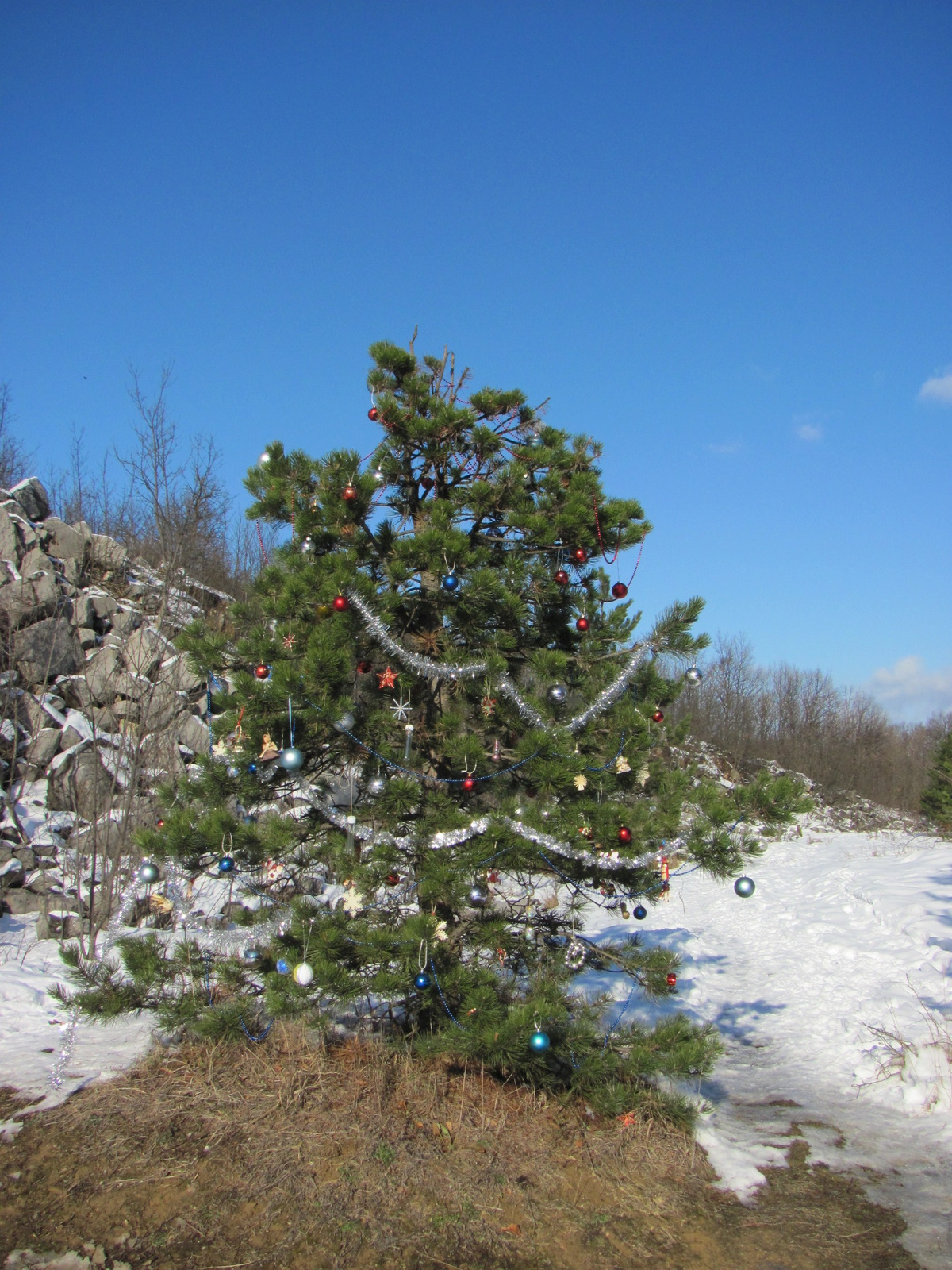 2011.12.25.Geokarácsonyfa túra 041