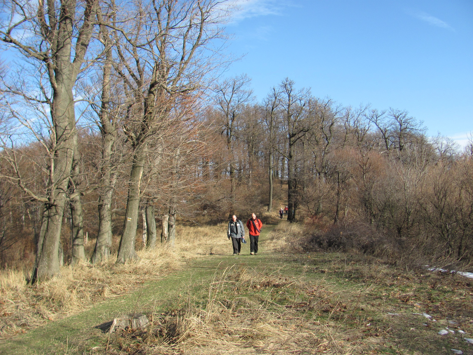 2012.01.07.PVM túra 063