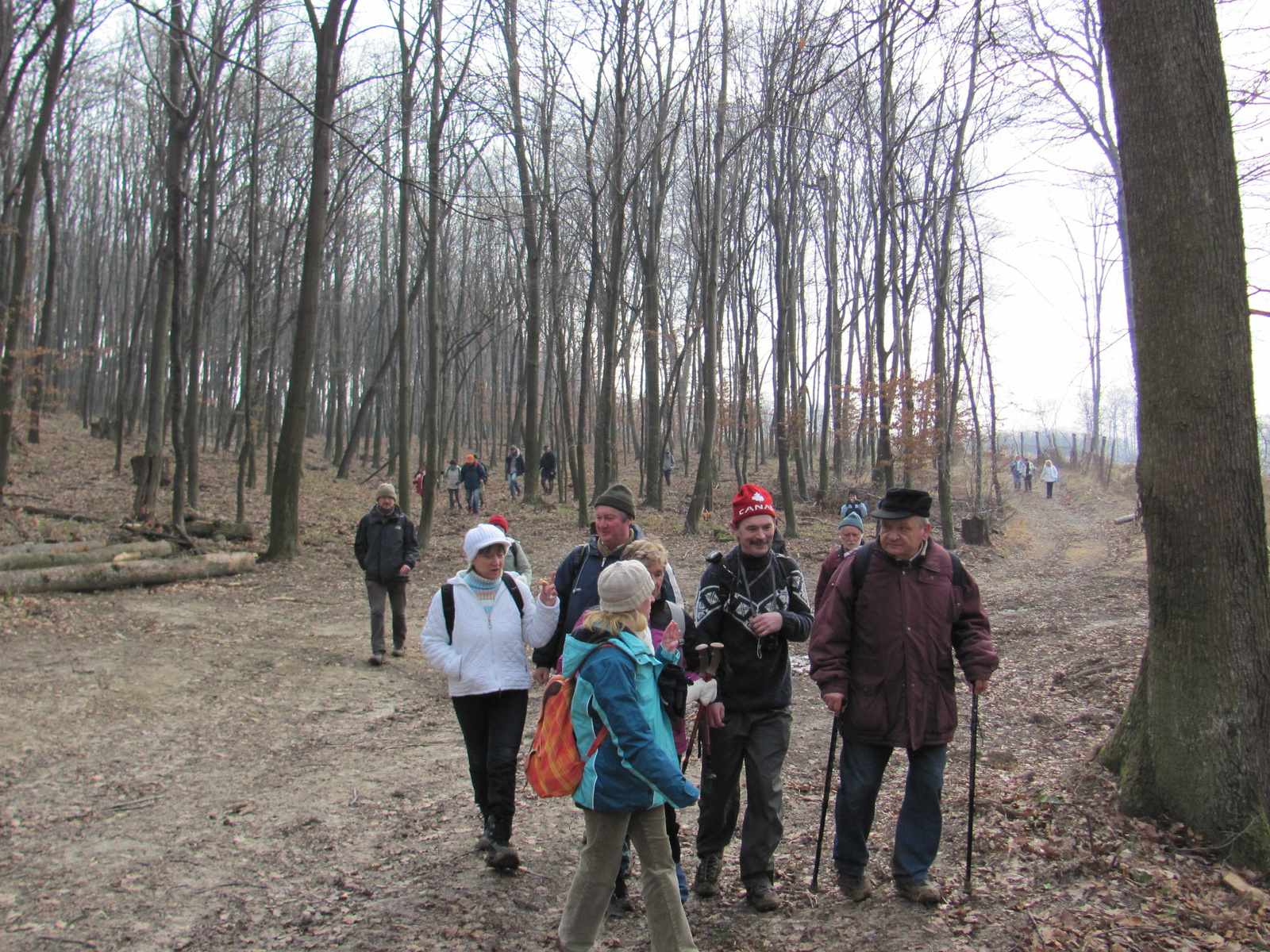 2012.01.28.Magyaregregy-Kisbattyán 036