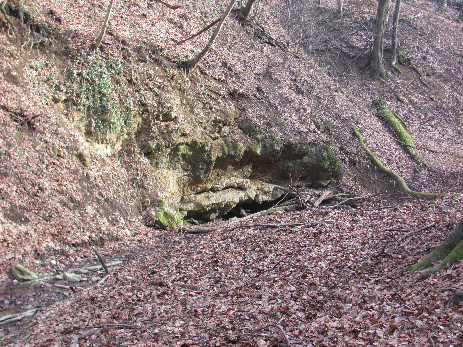 2012.01.28.Magyaregregy-Kisbattyán 044