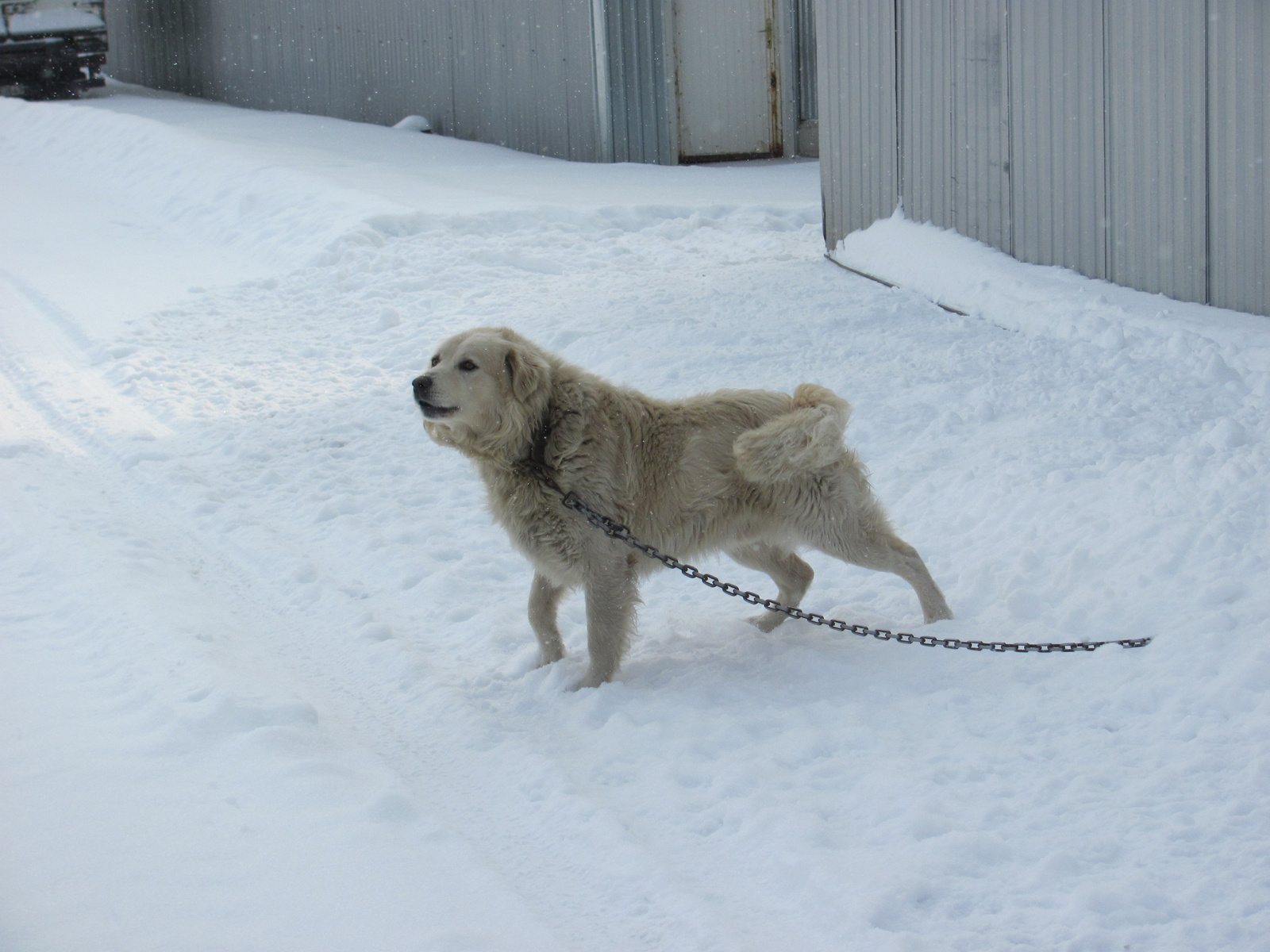 2012.02.05.Vékény-Hosszúhetény 004