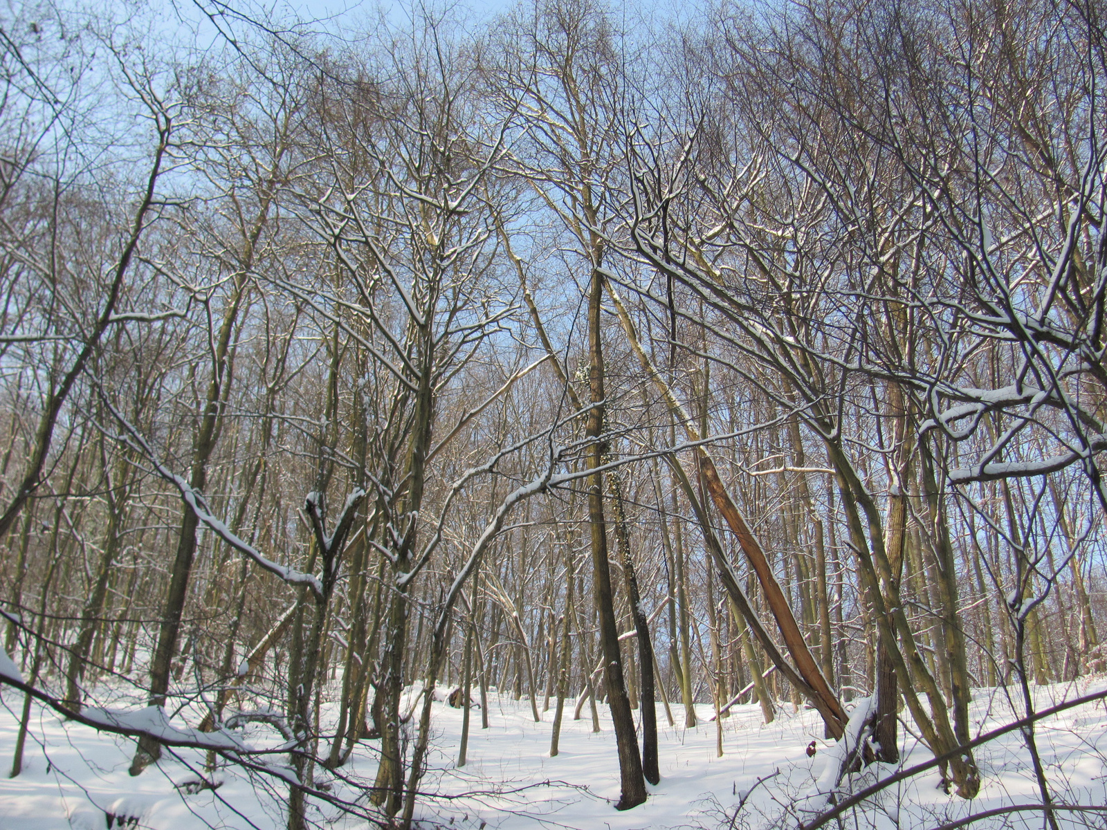 2012.02.05.Vékény-Hosszúhetény 024