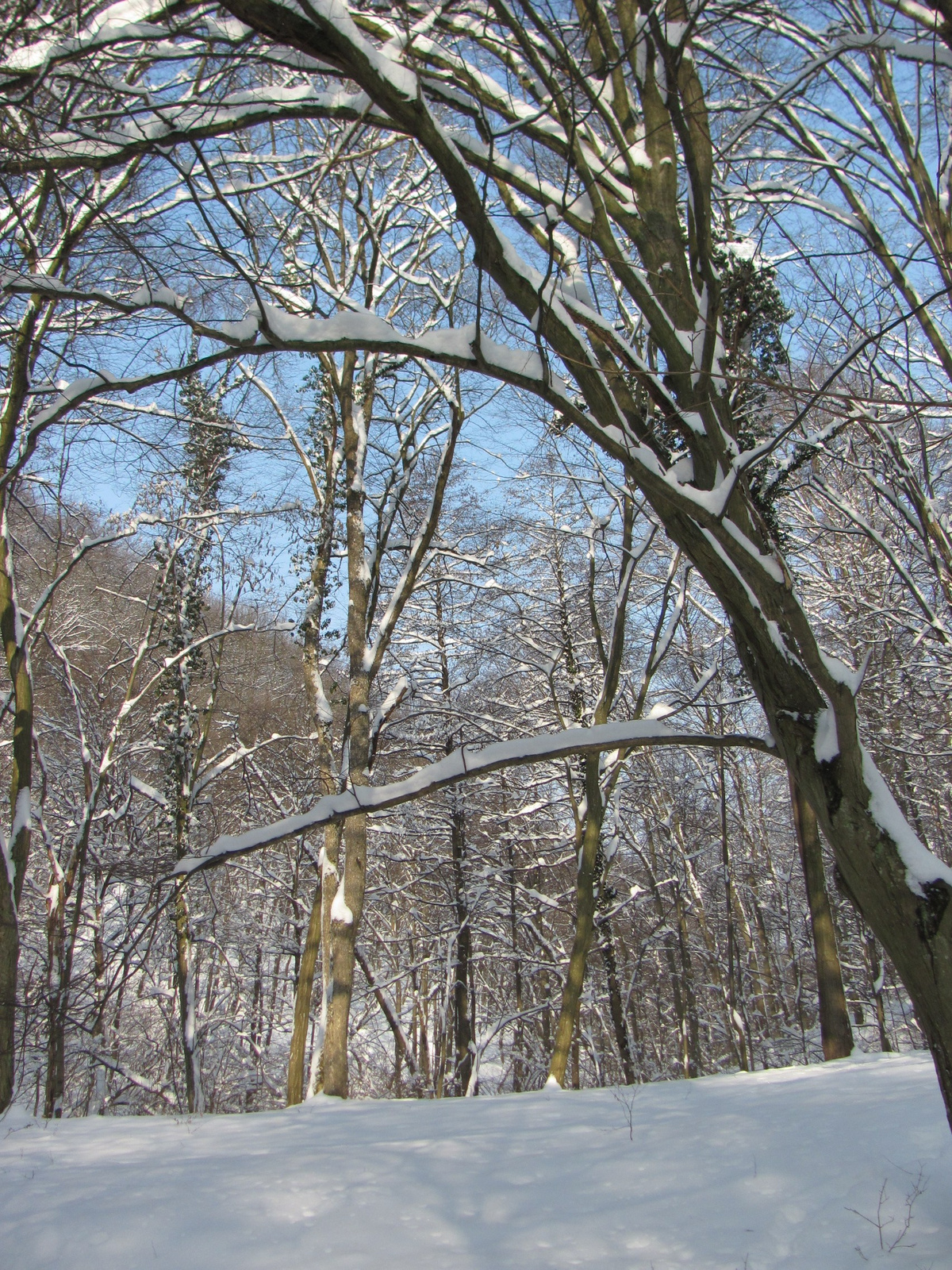 2012.02.05.Vékény-Hosszúhetény 055