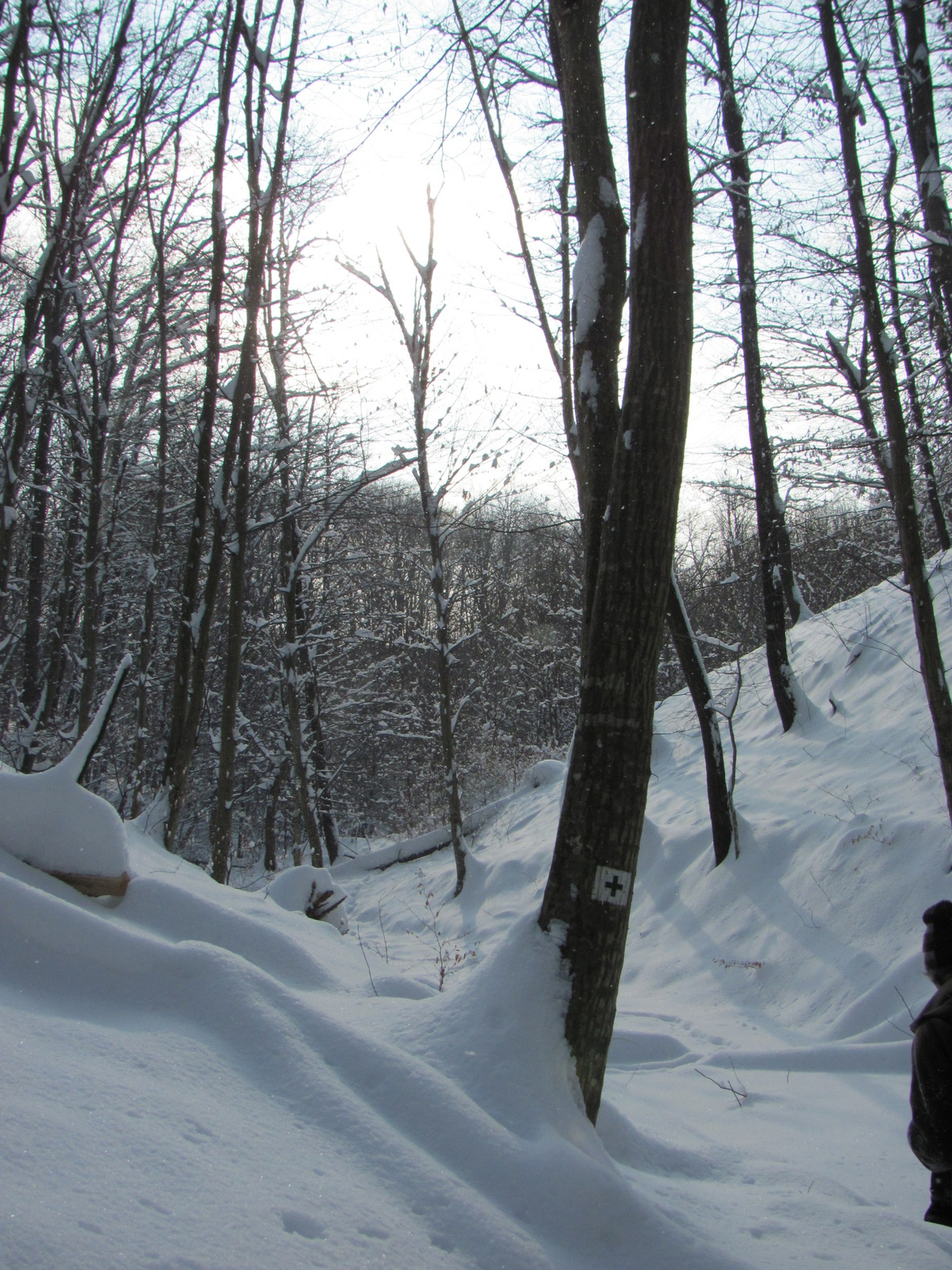 2012.02.05.Vékény-Hosszúhetény 070