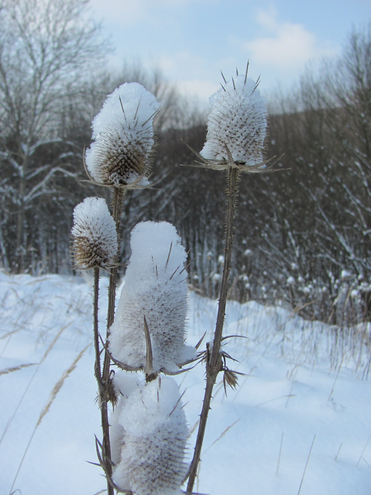 2012.02.05.Vékény-Hosszúhetény 075